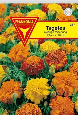 Produktbild von Tagetes niedrige gefüllte Mischung