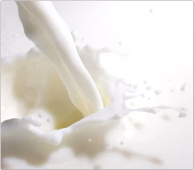 Produktbild von Spritzschutz Herdabdeckplatte Schneidebrett aus Glas Milch Splash 1-Teilig (60x52cm)