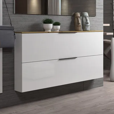 Immagine prodotto di Dmora Scarpiera Achiko 19x160x80h cm Bianco Bianco Lucido, 12 Paia 2 Ante  Italy
