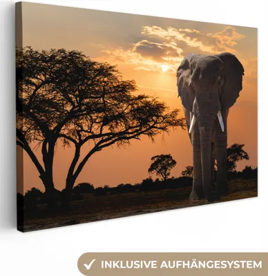 Produktbild von MuchoWow® - Leinwandbilder - Elefant - Baum - Afrika, Wandbild, Wanddeko Bilder Wohnzimmer, 120x80 cm