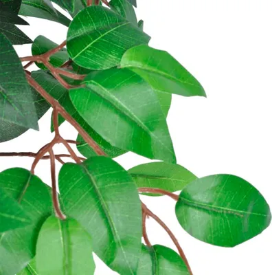 Immagine prodotto di Albero di Ficus Artificiale con Vaso 110 cm