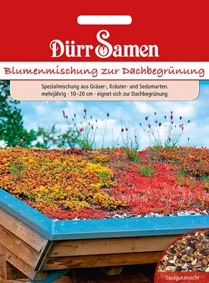 Produktbild von Dürr-Samen - Blumenmischung zur Dachbegrünung - Saatgut - 4396
