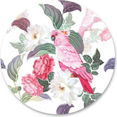 Image de Sticker cercle PAPAGEI fleurs plantes nature salon chambre salle à manger décoration murale sticker mural 100 cm x 100 cm
