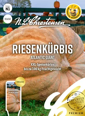 Artikelbild 1 von 'Riesenkürbis Atlantic Giant' aus der Kategorie Riesenkürbissamen