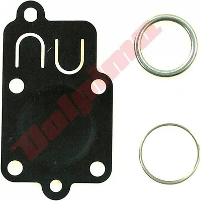 Immagine prodotto di Kit diaframma per Briggs&Stratton ( 5021 )