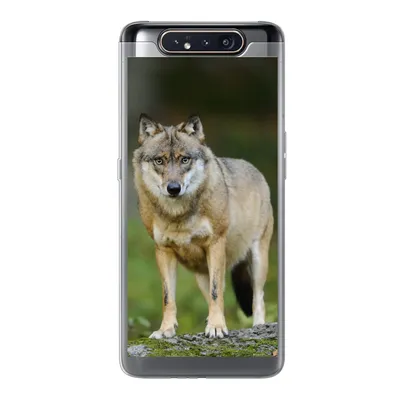 Produktbild von MuchoWow® Handyhülle Schutzhülle Hülle für Samsung Galaxy A80 Wolf - Asien - Pflanzen Silikon Softcase Handy Hülle - Schutzdeckel