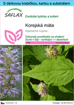 Obrázek produktu pro SAFLAX Dárková sada - korejská máta - Agastache rugosa - 1200 Semena - S dárkovou krabičkou, přepravním štítkem, dárkovou kartou a pěstebním médiem