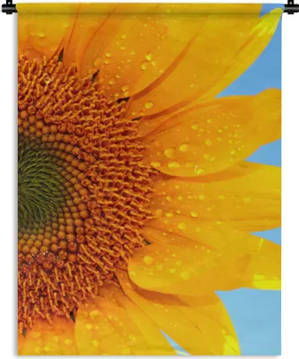 Produktbild von MuchoWow® Wandteppich Wandbehang Nahaufnahme einer Sonnenblume 150x200 cm Tapisserie Dekoration Wandtuch - Wandaufhängung - Moderner