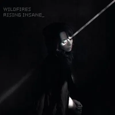 Produktbild von Wildfires