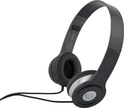 A pair of black headphones with silver accents is shown against a white background.