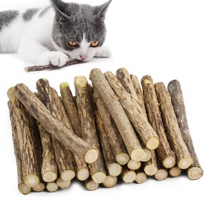 Image de Herbe à chat bâtonnets Matatabi 30 bâtonnets à mâcher pour l'hygiène dentaire, jouets pour chats