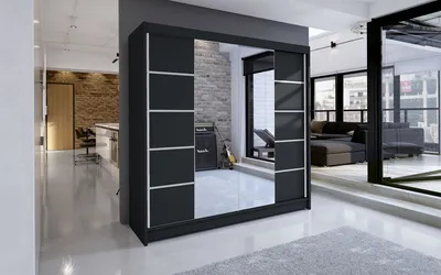 A modern living room with a large black wardrobe with mirrored doors.