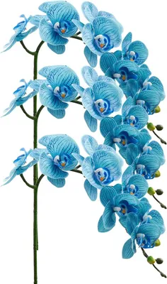 Productafbeelding van Kunstorchidee Stelen - Nep Orchidee Zijde Orchidee - Woondecoratie - Echt PolyurethanLatex - 94 cm - Blauw Patroon