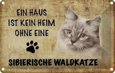 Produktbild von vianmo Blechschild 12x18 cm sibierische Waldkatze Katze Tier Haustier