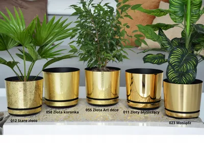 Produktbild von Kerd Dekor Gold-Set 5 Blumentöpfe mit Untersetzer Ø12