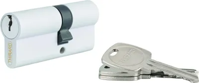 Image de Cylindre STD double entrée, 30 x 60 mm anti-arrachement, blanc, 3 clés - THIRARD