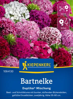 Artikelbild 2 von 'Bartnelke Duplika Mischung' aus der Kategorie Nelkensamen