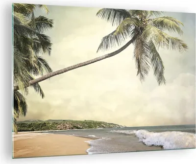 Produktbild von Bilder auf glas - Einteilig - Palme Strand Insel - 70x50cm - Glasbilder - Wandbilder - Bilder - zum Aufhängen bereit - Wanddekoration aus Glas - Glas Bilder - Wandbild auf Glas - GAA70x50-4154