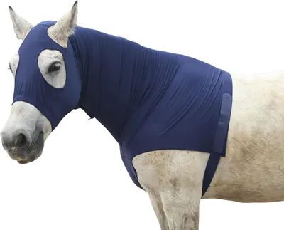 Imagen del producto de Manta elástica de Elasthan para caballos, que protege la cabeza, el cuello, el pecho y los hombros, ideal para pieles sensibles
