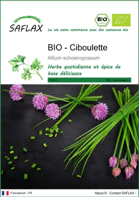 Image de SAFLAX  -- Ciboulette - 250 graines - Allium