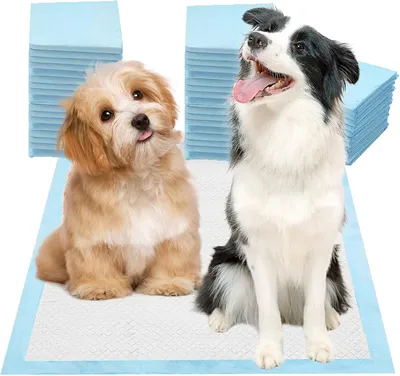 Produktbild von Nanipets® Trainingspad für Hunde Welpenunterlagen, Superabsorbierendes & Auslaufsichere Wickelunterlagen, 60 x 90 cm Extra Große, Dicke Pet Pads, Pack