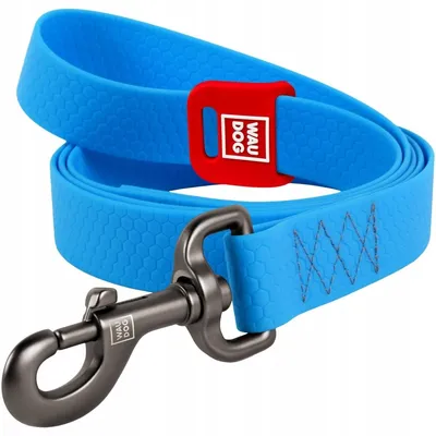 Produktbild von WAUDOG Wasserdichte Hundeleine S - Blau, Robust