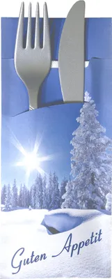 Produktbild von 520 Bestecktaschen mit Serviette Winter 20 cm