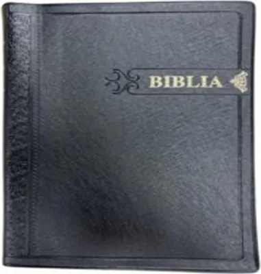 Produktbild von Lingala Bibel
