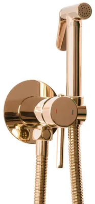 Produktbild von Bidet-Armatur Rea Loop Lungo Gebürstetes Gold