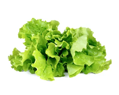 Produktbild von Click and Grow zelený šalát, kapsule so semenami a substrátom 3ks