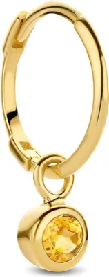 Produktbild von Jackie Gold JKS21.007 Ohrringe