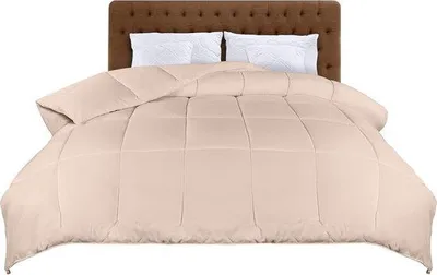 Produktbild von Famanu Bettdecke 200 x 200 cm - Leichtes Ganzjahresbettzeug, Mikrofaser (beige)