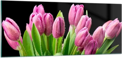 Produktbild von Bilder auf glas - Tulpen Blumenstrauß Tau Tropfen - 100x40cm - Glasbilder - Wandbilder - Kunstdruck - zum Aufhängen bereit - Wanddekoration aus Glas - Glas Bilder - Wandbild auf Glas - GAB100x40-2486