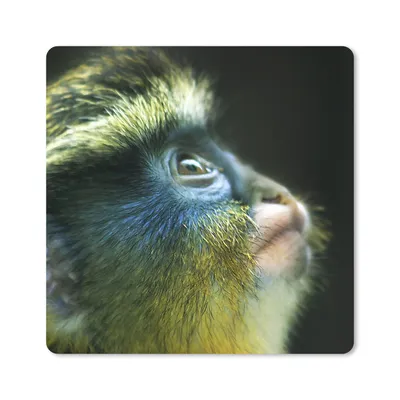 Produktbild von MuchoWow® Mauspad Mousepad Affe - Fell - Schwarz 30x30 cm - Mousepads - Maus Mat - Pad - Mausunterlage - Gaming