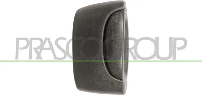 Produktbild von PRASCO DS9178102 Türgriff Links für RENAULT KANGOO (KC0/1) Schwarz