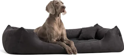 Produktbild von tierlando MORITZ SOFT Hundebett Hundesofa M - XXL 90 110 130 160 cm - Größe: 130x100cm | Farbe: 03 Schwarz