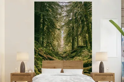 Produktbild von MuchoWow® Fototapete für Wohnzimmer oder Schlafzimmer Wandtapete Vinyl Motivtapete Wald - Bäume - Grün - 225x350 cm - Schlafzimmer tapete