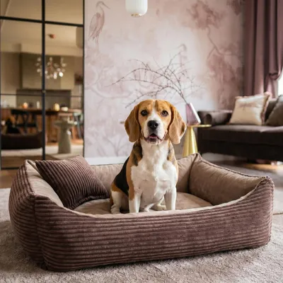 Produktbild von 4L Textil MOLLY Kuscheliges Cord Hundebett große Hunde Hundekorb Cord Hundekissen flauschig Hundekörbchen Cord (120x100 cm, Dunkelbraun)