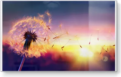 Produktbild von DEQORI Frühstücksbrett Glas 23x14 cm 'Pusteblume im Abendlicht' Schneidebrett Platte
