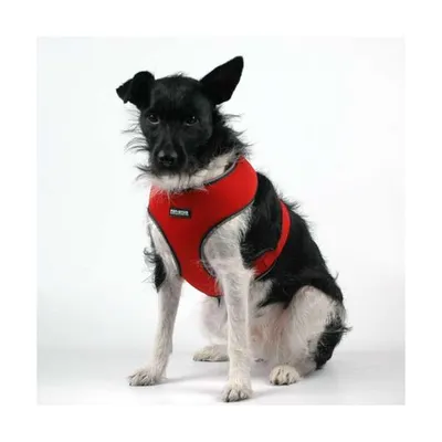 Produktbild von Pet-Star Softgeschirr / Netzgeschirr - Rot - XL