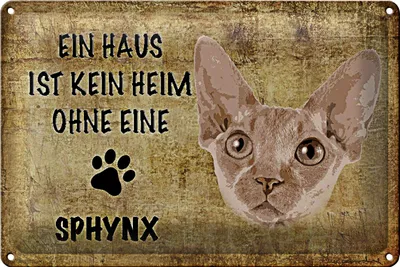 Produktbild von Blechschild Spruch 30x20cm Sphynx Katze ohne kein Heim