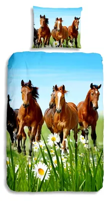 Produktbild von Renforcé Bettwäsche »Horses«, Pferde, Wiese, grün, 135x200 & 80x80, 100% Baumwolle, atmungsaktiv und weich, Kinderbettwäsche-Set mit Reißverschluss