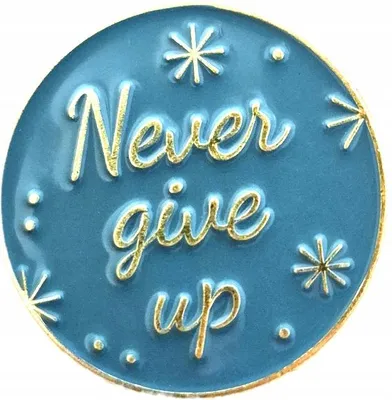 Produktbild von DKM PIN210 Never Give Up Metall Emaille Anstecker