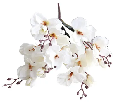 Image de 2 fleurs de magnolias artificielles pour la décoration