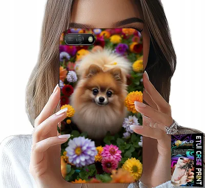 Image de Étui Pour Huawei Y6 2018 - Chien Mignon, Étui Pour Pomeranien + Vitre