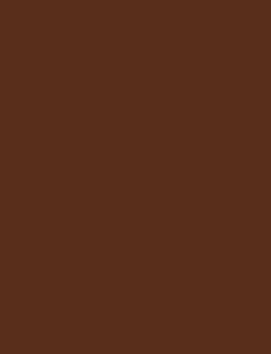 Immagine prodotto di folia  67/25 85 folia Tonpapier, (B)500 x (H)700 mm, 130 g/qm, schokobraun