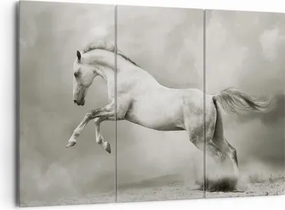 Produktbild von Bild auf Leinwand - Leinwandbild - Pferd Tier - 165x110cm - Wand Bild - Wanddeko - Wandbilder - Leinwanddruck - Bilder - Kunstdruck - Wanddekoration - Leinwand bilder - Wandkunst - CE165x110-3542