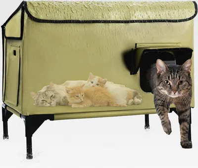 Produktbild von Großes Katzenhaus Outdoor Winterfest Isoliert, Erhöhtes Katzenhaus für Draußen mit Schrägdach und Fluchttür für Verwilderte Freigängerkatzen, Streunerkatzen vom Bauernhof (Grün)