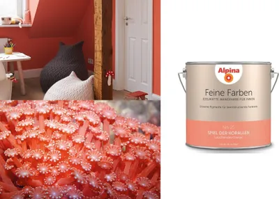 Produktbild von Alpina Feine Farben No.25 Spiel der Korallen Wandfarbe Orange 2.5l