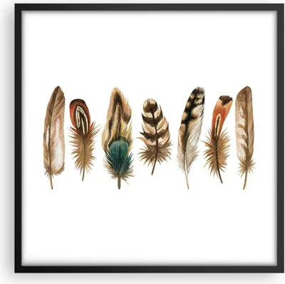 Produktbild von Gerahmtes Poster - Schwarzer Rahmen - Weiß Hintergrund Federn - 50x50 cm - Wand Bild - Wanddeko - Wandbilder - Kunstposter - Wandposter - Bilderrahmen - Bilder - Kunstdruck - P2BAC50x50-4419